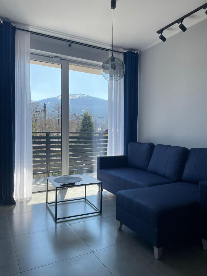 Z Widokiem Apartamenty - Apartamenty Z Widokiem Na Gory I Zewnetrzna Balia Шклярська Поремба Екстер'єр фото